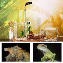 Acrylic Reptile Breeding Box Insect Landscaping Feeding Box For Spider Lizard - Clear - View 5