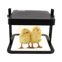 15 Chick Brooder/Heat Plate Thermostatic For Chicks Ducklings Fledgling Quails - 1 - View 9