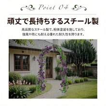 Arches, Arbours, Pergolas, & Bridges