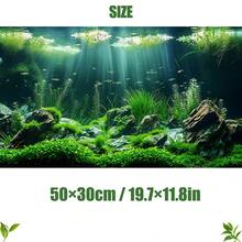 High Definition Aquarium Background Sticker, Realistic Underwater Landscape With Rocks And Plants, Suitable For Fish Tank, Reptile, Amphibious Terrarium, Available In Multiple Sizes, Creates Dreamlike Underwater Atmosphere, Photography Backdrop - Multicolor - View 9