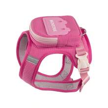 宠物猫狗牵引绳，带防逃脱可调节胸带和背带、反光安全绳和项圈套装，柔软透气网布材质