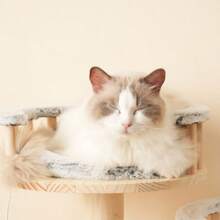 Solid Wood Cat Climbing Booth Designator - 98cm High, 3-Level Trampoline, Detachable Pillow And Toy Ball, Optical Imitation Of Clouds - Natural, Use, Cat Climbing - Grey - View 8