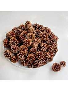 1 Stück 30/300g 4-6cm Mini Tannenzapfen, DIY Weihnachtsbaum Anhänger Deko, natürliche Tannenzapfen Ornamente für Feiertags-Party, Neujahrs-Zubehör, geeignet für DIY Dekoration, Hängekünste, Weihnachtsbaum Deko, Party Dekorationen, verschiedene Stile erhältlich Heim Deko Weihnachtsdeko Zimmer Deko Winter