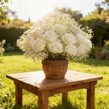 30支白玫瑰和满天星组合,适合家居卧室装饰,也适合客厅、办公室或餐桌装饰,非常适合作为情人节和教师节礼物、告白或道歉和解礼物、活动派对和感恩节礼物。 - 白色 - 查看 8