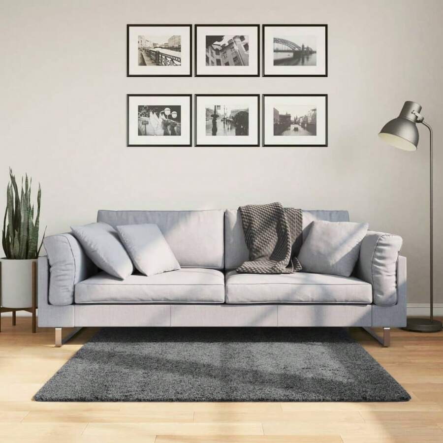 vidaXL Teppich OVIEDO Kurzflor Anthrazit 120x120 Cm - Grau - Übersicht 1