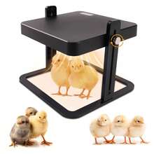 15 Chick Brooder/Heat Plate Thermostatic For Chicks Ducklings Fledgling Quails - 1 - View 2