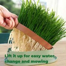 1个猫草种植器，水培种植盒（不含种子），简易发芽系统，无土种植套装，猫草种植盆，多用途花园种子发芽托盘，耐用塑料材质，适合放置猫咪零食，塑料宠物碗，室内园艺套装 - 彩色 - 查看 4