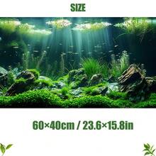 High Definition Aquarium Background Sticker, Realistic Underwater Landscape With Rocks And Plants, Suitable For Fish Tank, Reptile, Amphibious Terrarium, Available In Multiple Sizes, Creates Dreamlike Underwater Atmosphere, Photography Backdrop - Multicolor - View 15