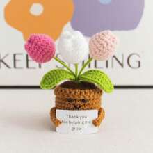 1 chậu cây cảnh mini in hoa truyền cảm hứng, đồ trang trí bàn làm việc dễ thương, hoa móc thủ công, cây mini, hoa lưu ly, hoa linh lan, hoa cúc vạn thọ, hoa cẩm chướng, hoa hướng dương, hoa xương rồng, hoa tulip, thiệp động viên ấm áp thủ công, đồ trang trí bàn làm việc, đồ trang trí phòng - Nhiều màu - Xem 19