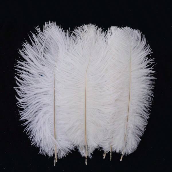 20-25 cm 10 Stück Straußenfedern Künstliche Federn - Luxuriöse weiße flauschige dekorative Federn für Hochzeiten, Fotografie-Requisiten und Heimdekoration, elegante Feder-Kombination | Strapazierfähige Federn, Feder-Dekoration