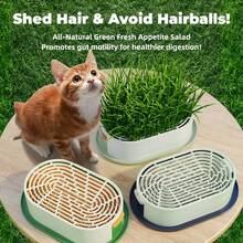 1个猫草种植器，水培种植盒（不含种子），简易发芽系统，无土种植套装，猫草种植盆，多用途花园种子发芽托盘，耐用塑料材质，适合放置猫咪零食，塑料宠物碗，室内园艺套装 - 彩色 - 查看 5