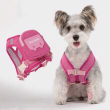 宠物猫狗牵引绳，带防逃脱可调节胸带和背带、反光安全绳和项圈套装，柔软透气网布材质