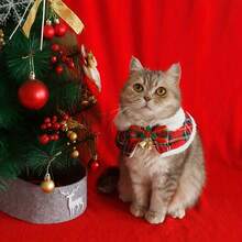 猫咪圣诞斗篷，狗狗新年披肩，宠物围巾，英伦风秋冬保暖泰迪熊短款项圈 - 彩色 - 查看 4