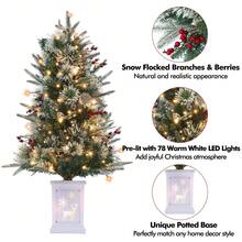 Christmas Trees - Green - View 6