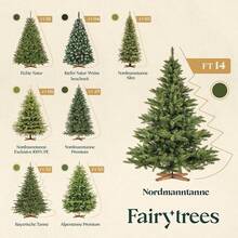 FairyTrees Artificial Nordmann Fir Christmas Tree, Green, PVC, Includes Wooden Stand, FT14/FT15, 180cm - Tree Trunk Green - View 7