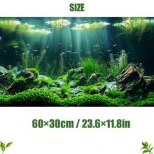High Definition Aquarium Background Sticker, Realistic Underwater Landscape With Rocks And Plants, Suitable For Fish Tank, Reptile, Amphibious Terrarium, Available In Multiple Sizes, Creates Dreamlike Underwater Atmosphere, Photography Backdrop - Multicolor - View 11