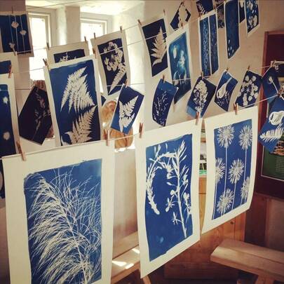 Solar Cyanotype Paper Kit - 12 Sheets Per Pack With A4/A5/A6 Sizes,Premium Blue Film Sun Printing Material For DIY Art, Crafts, Photogram, Printmaking & Photography Projects,Sunlight-Activated Imaging Technology