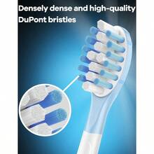 ZxcvReplacement Toot Ea  Pils Sonicare TectiveClean C3 G3 W3 C2 4100 9044 W 8 PacksToothbrush Replacement Heads - Trắng xanh - Xem 4