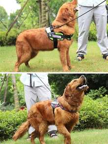 1pc Reflective Polyester Dog Harness, In Training Vest, No Pull Pet Chest Strap, Breathable Adjustable Outdoor For Small, Medium, And Large Dogs - Multicolor - View 7