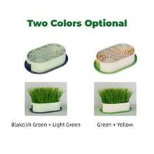 1个猫草种植器，水培种植盒（不含种子），简易发芽系统，无土种植套装，猫草种植盆，多用途花园种子发芽托盘，耐用塑料材质，适合放置猫咪零食，塑料宠物碗，室内园艺套装 - 彩色 - 查看 2