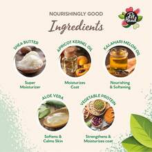 Pet Head Furtastic Spray de Aseo para Perros de Pelaje Largo y Rizado 10.1fl oz – Aroma de Sandía. Champú Seco Desenredante con Ingredientes Naturales y Veganos. Fórmula Suave para Perros y Cachorros - 1 - Ver 3