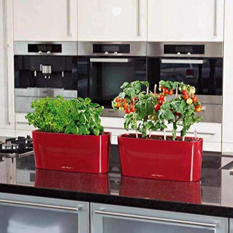 Delta 20 Self-Watering Planter High Gloss White - HighGlossWhite - Xem 5