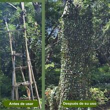 Red de Camuflaje para Camuflaje, Redes de Malla para Caza, Ciegos, Tiro, Disparos, decoración de Fiesta temática Militar, Cubierta de Coche, Red de camuflaje, red de camuflaje, red de camuflaje ciega de caza, decoraciones de fiesta del ejército, redes de valla para sombrilla, ligera, rollo a granel, malla, ideal para acampar, disparar, - Verde militar - Ver 1