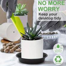 8个8英寸带排水底盘的植物托盘，塑料材质，室内外均可使用