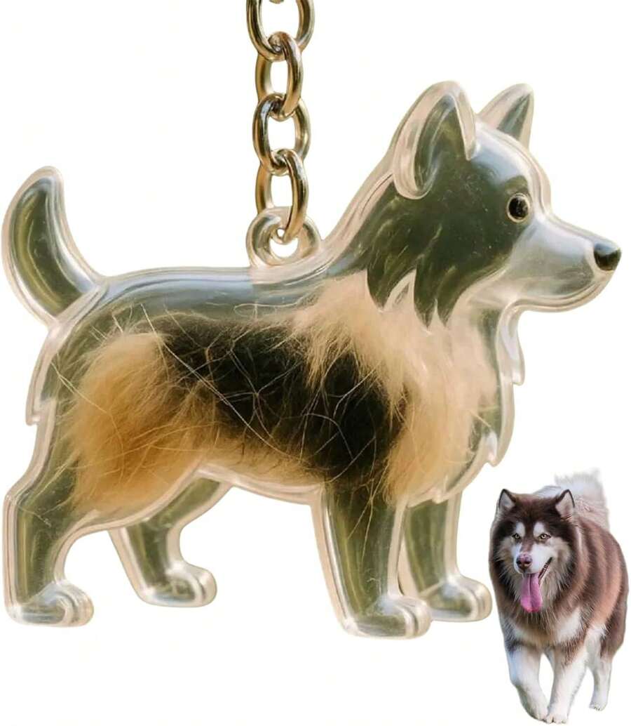 Jouets en corde pour chien - Blanc - Voir 1