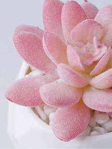 Plantes artificielles succulentes préférées des filles avec pot. Petites plantes en pot artificielles décoratives roses. Plantes artificielles pour salon, chambre, décoration de maison, parfum d'intérieur, petites plantes de simulation de bureau, décoration de bureau avec succulentes artificielles mignonnes. Cadeau de Thanksgiving, Noël, décoration de fête des fleurs et des parfums. Cadeau de fête. - Succulente rose - Voir 4