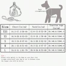 Bộ dây dắt và dây xích dắt chó đi dạo ngoài trời HP082-1 dành cho chó nhỏ vừa - Dây dắt chó Chihuahua & Pomeranian có dây đeo có thể điều chỉnh, thiết kế tiện dụng, polyester bền, lý tưởng cho các hoạt động ngoài trời & thú cưng khi đi du lịch, không cần pin - Nhiều màu - Xem 2