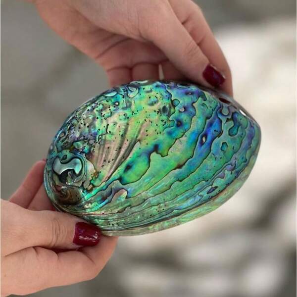 1PC Oversized Blue Abalone Shell Jewelry Display Bowl - Christmas Gift For Women, Luxury Holiday Home Decor, Elegant Ring Holder & Necklace Tray, Sage Burning Ceremony Centerpiece