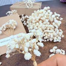 20/50/100/150/300pcs Ivory White Mini Gypsophila And Other Dried Flowers - For Resin Mold Art And Crafts, Suitable For Hair Accessories, Wedding Wreaths, Tabletop Decor, Home Decoration - Beige - View 5
