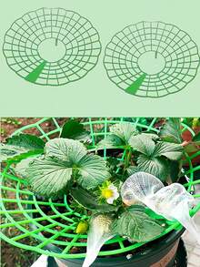 Questo set di supporti per piante di fragole ha tre gambe robuste ed è dotato di un design con logo di fragole, offrendo protezione per le fragole contro muffa, marciume e sporco, adatto per la coltivazione di fragole