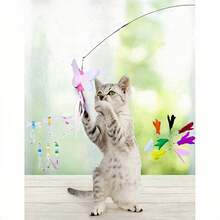1 Piece Cat Teasing Stick Interactive Toy, Pet Artificial Feather Bell Refill Replacement Catcher Product, Suitable For Cat Exercise And Self-Entertainment, Handheld Teasing Stick,Various Insects Replace The Head - Multicolor - View 17