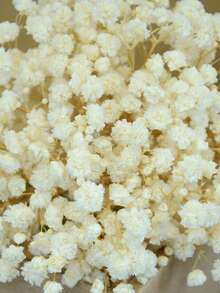 20/50/100/150/300pcs Ivory White Mini Gypsophila And Other Dried Flowers - For Resin Mold Art And Crafts, Suitable For Hair Accessories, Wedding Wreaths, Tabletop Decor, Home Decoration - Beige - View 4