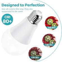 25W LED Smart Bulb RGB With Remote Control E27/E26 Colorful Indoor 220V/110V Multi-Color Changing Dimmable Recessed Ceiling 5W Bedroom Holiday Night Decoration 15W 4 Flashing Modes Party Bar Spotlight 20W Living Room Gaming Backlight Atmosphere Light 10W - RGB Bulb-with 24key Remote(E27/E26) - View 9
