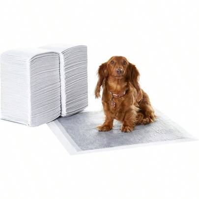 Basics Alfombrillas para orinar para perros y cachorros con diseño a prueba de fugas de 5 capas y superficie superabsorbente para enseñar a orinar carbono con control de olores tamaño normal 55.8 x 55.8 cm paquete de 120 piezas gris