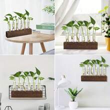 5件套多功能玻璃植物繁殖架 - 6个试管，轻松繁殖 - 时尚家居、办公室、花园装饰 - 室内绿植爱好者的完美礼物 - 彩色 - 查看 3