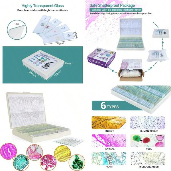 100 Microscope Slides With Specimens For Prepared Microscope Slides With Plants Animals Insects For Adults Students Homeschool Basic Education Science Learning Use