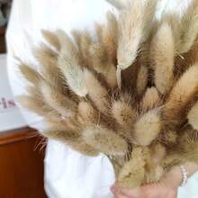 30/60/120/180/240pcs Bunny Tails Grass ,Dried Lagurus Grass ,Dry Grass Bouquet For Vase,DIY Handcraft Materials,Home Decor,Wedding Decor - Brown - View 4