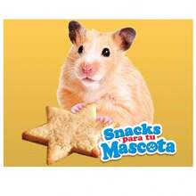 Snacks para tu Mascota Mi Alegría - Amarillo - Ver 4
