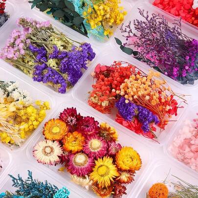 Artificial Prensado Flores Secas Resina,3 Bolsas de Flores Secas para Resina Epoxi Manualidades, Perfecto para Resina,ón, Manualidades, decoración Floral, álbumes de Recortes