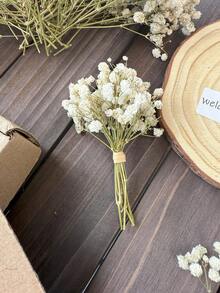 20/50/100/150/300pcs Mini Gypsophila & Other Dried Flowers - For Resin Mold Art & Crafts, Ivory White Bouquet For Hair Accessories, Wedding Wreaths, Table Decor, Home Decoration - White Green (dried Flowers) - View 3