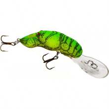 Chartreuse/dorso verde