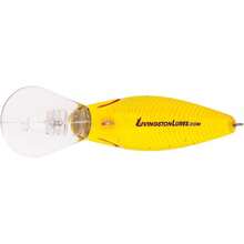 Livingston señala a Howeller DMC - Salpicaduras Chartreuse Shad - Ver 5