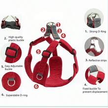 Bộ dây dắt và dây xích dắt chó đi dạo ngoài trời HP082-1 dành cho chó nhỏ vừa - Dây dắt chó Chihuahua & Pomeranian có dây đeo có thể điều chỉnh, thiết kế tiện dụng, polyester bền, lý tưởng cho các hoạt động ngoài trời & thú cưng khi đi du lịch, không cần pin - Nhiều màu - Xem 3