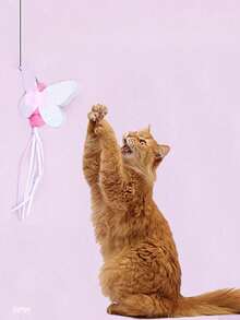 1 Piece Cat Teasing Stick Interactive Toy, Pet Artificial Feather Bell Refill Replacement Catcher Product, Suitable For Cat Exercise And Self-Entertainment, Handheld Teasing Stick,Various Insects Replace The Head - Multicolor - View 14