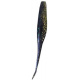 color fantasía (Native Shiner)
