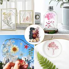Artificial Prensado Flores Secas Resina,3 Bolsas de Flores Secas para Resina Epoxi Manualidades, Perfecto para Resina,ón, Manualidades, decoración Floral, álbumes de Recortes - B - Ver 10
